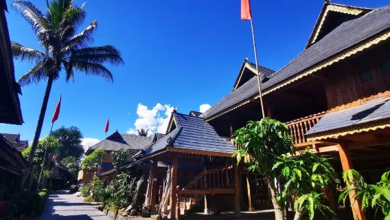 From Xishuangbanna: One Tree Forest + Mengjinglai Private Charter Day Tour