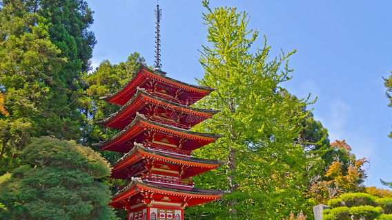舊金山日遊