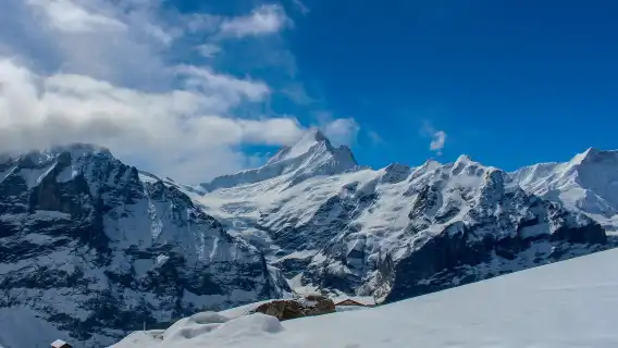 Swiss First Mountain one-day tour(Zurich/Lucerne Round-trip/ cable car train ticket Included)