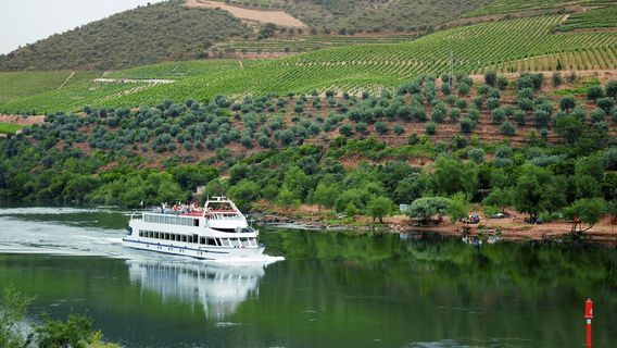 PortoExperiences