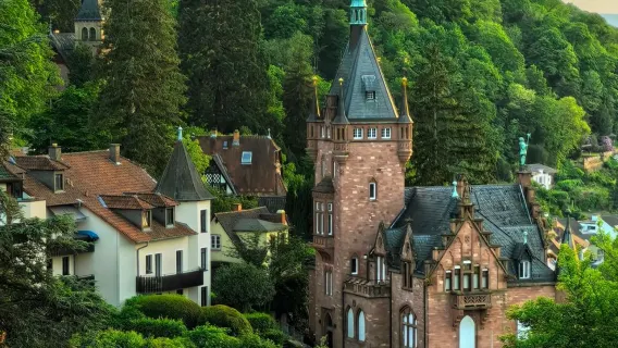 Heidelberg tra le rughe del tempo: noleggio con conducente esclusivo per esplorare le vestigia medievali