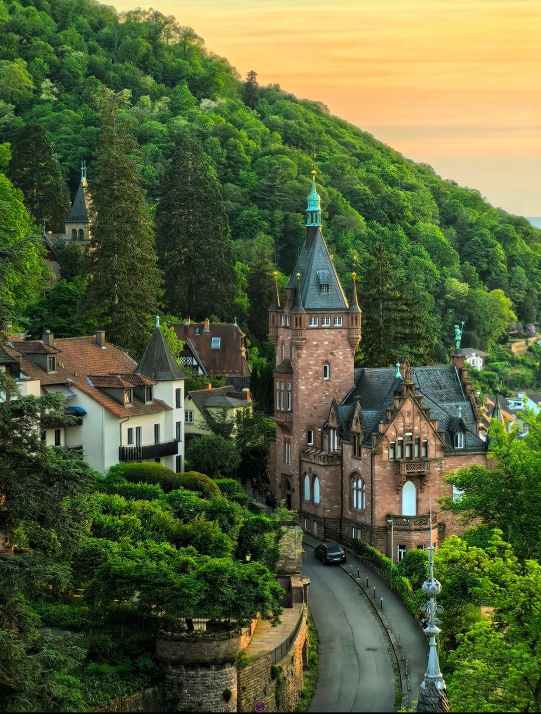 Heidelberg in the Folds of Time – Exploring Medieval Heritage with a Private Charter