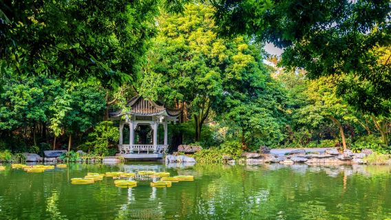 Guangxi Nanning: guide translation/exhibition/factory inspection English/Russian/Japanese minor languages H