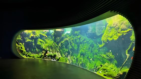 Shanghai Greenhouse Garden (Underwater Forest) + Shanghai Romance Park + The Bund 1-day Tour