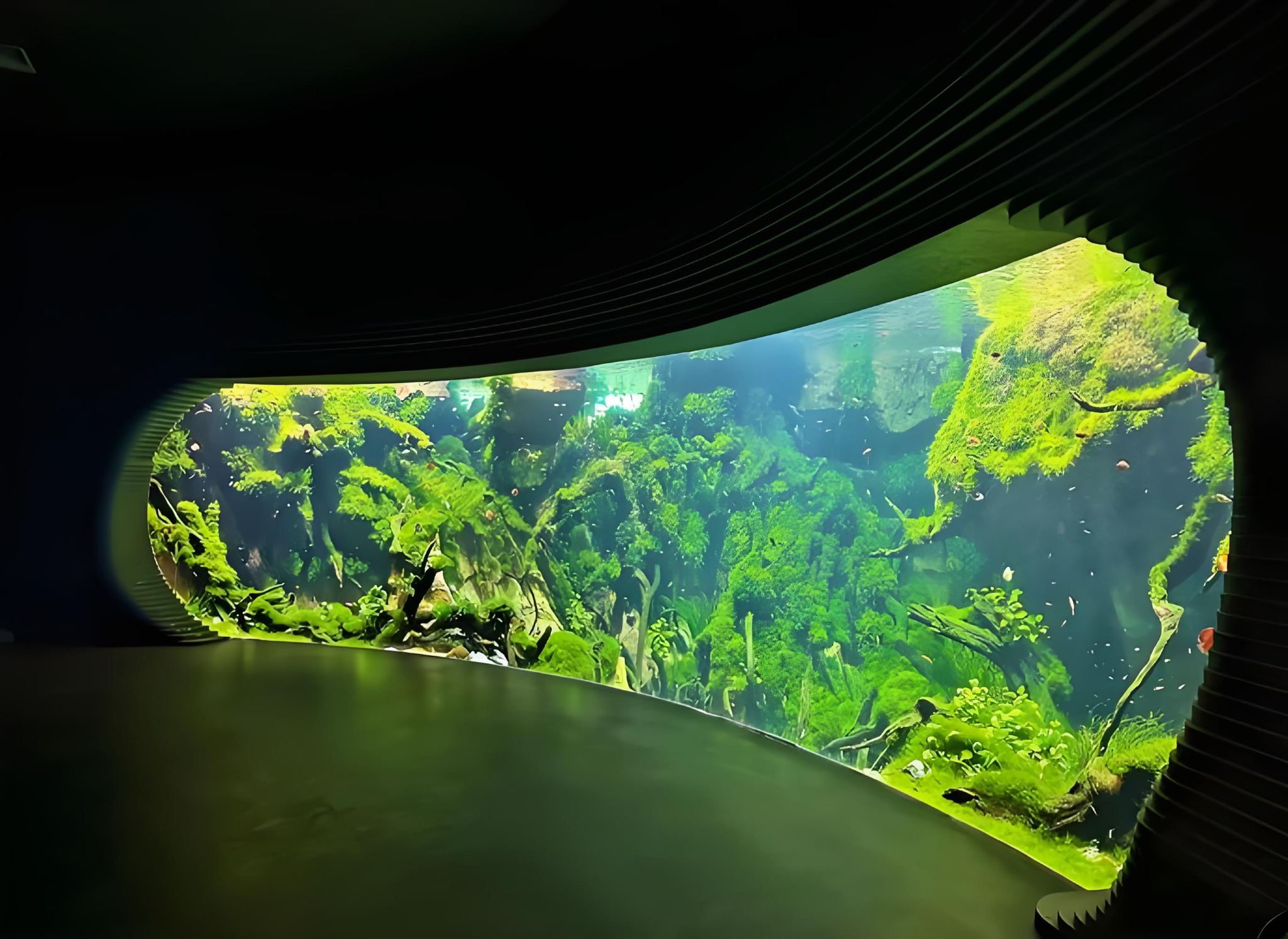 Shanghai Greenhouse Garden (Underwater Forest) + Shanghai Romance Park + The Bund 1-day Tour