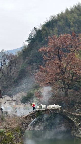 縉雲岩下石頭村+河陽古民居一日遊【自由行 隨走隨停】