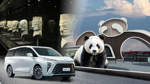 Chengdu Research Base of Giant Panda Breeding + Sanxingdui Museum private car tour (departing from Chengdu)