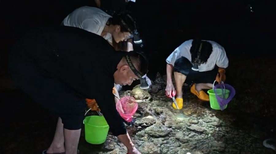 海棠灣後海趕海 專業教練帶領 安全可靠 工具 小朋友連身褲