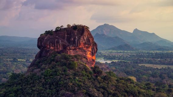 From Dambulla: Sigiriya Rock, Village, and Minneriya Tour