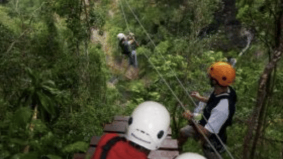 Magoebaskloof Adventures: 2H Canopy Tour