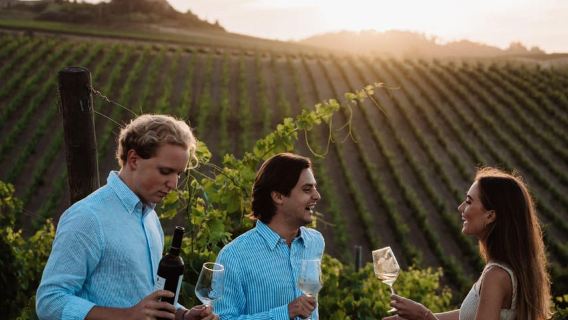 Abbey Tour, Wine Tasting & Tuscan Lunch Near Pisa