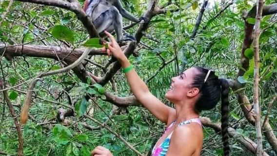 Zanzibar: Monkey Experience in Jozani forest