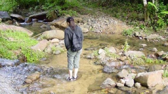 Fiji Biausevu waterfall & Village Tour