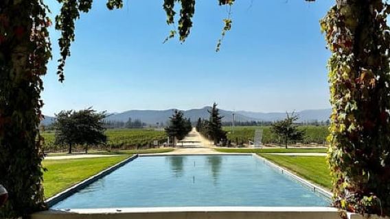 From Santiago: Casablanca Valley Wine tour and Valparaiso
