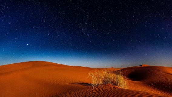 Doha: Private Desert Safari at Night with Stargazing
