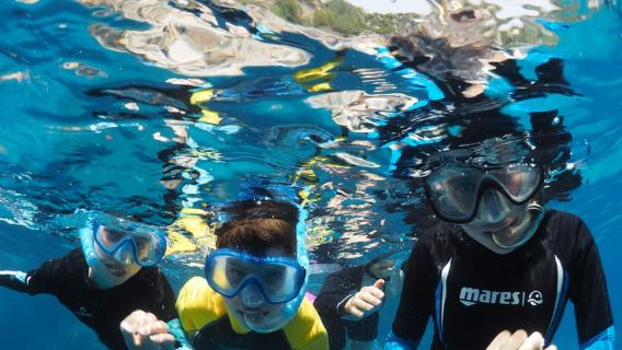 Sorrento: Afternoon Snorkeling Tour with Marine Biologist