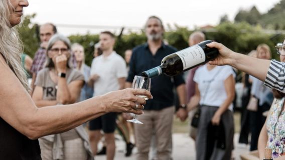 Déjeuner dans le vignoble d'Alba