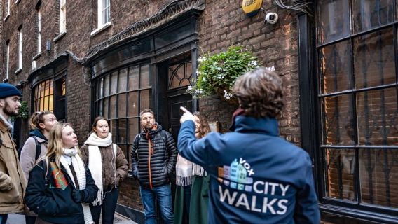 London: Landmarks Walking Tour & Harry Potter Walking Tour