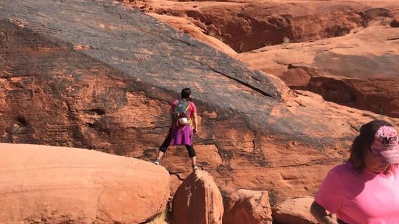 Las Vegas: Valley of Fire Half-Day Guided Hike with Pickup