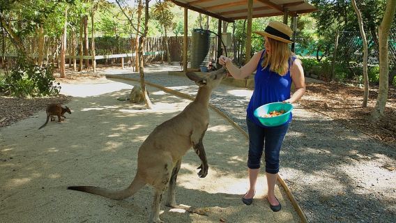 Hartley's Crocodile Adventures: Zootastic 5 + Tiket Masuk