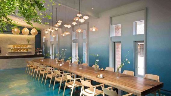 探索美景與徜徉微熱山丘茶香之旅