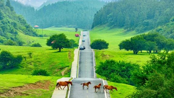 ○ Tour giornaliero ai Tre Ponti Naturali di Wulong e alla Montagna delle Fate + Guida in inglese opzionale - Biglietto d'ingresso + trasporto nell'attrazione + servizio autista - [Tour di gruppo per 2-8 persone] Pacchetto ad alto rapporto qualità-prezzo