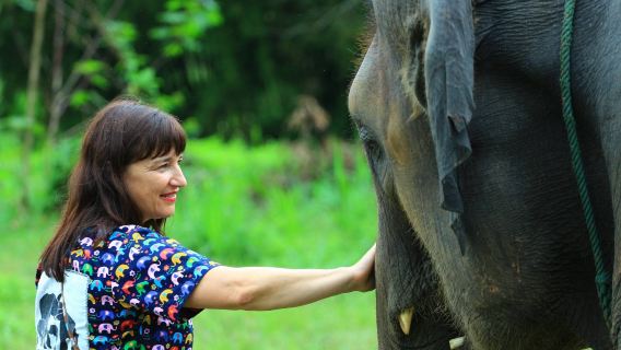 Tour trong ngày vui vẻ tại Khu bảo tồn voi Campuchian, Chiang Mai, Thái Lan