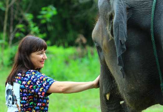 Chiang Mai Kanta Elephant Sanctuary Half-day Tour [Fun Half-day Tour]