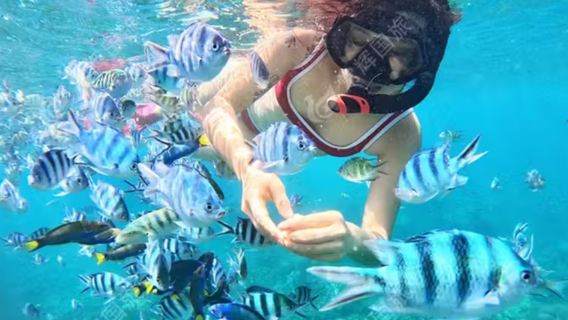 tour di un giorno alle tre isole di Phu Quoc Island | gita in motoscafo + snorkeling sulla barriera corallina + regalo di Trip Moments esclusivi