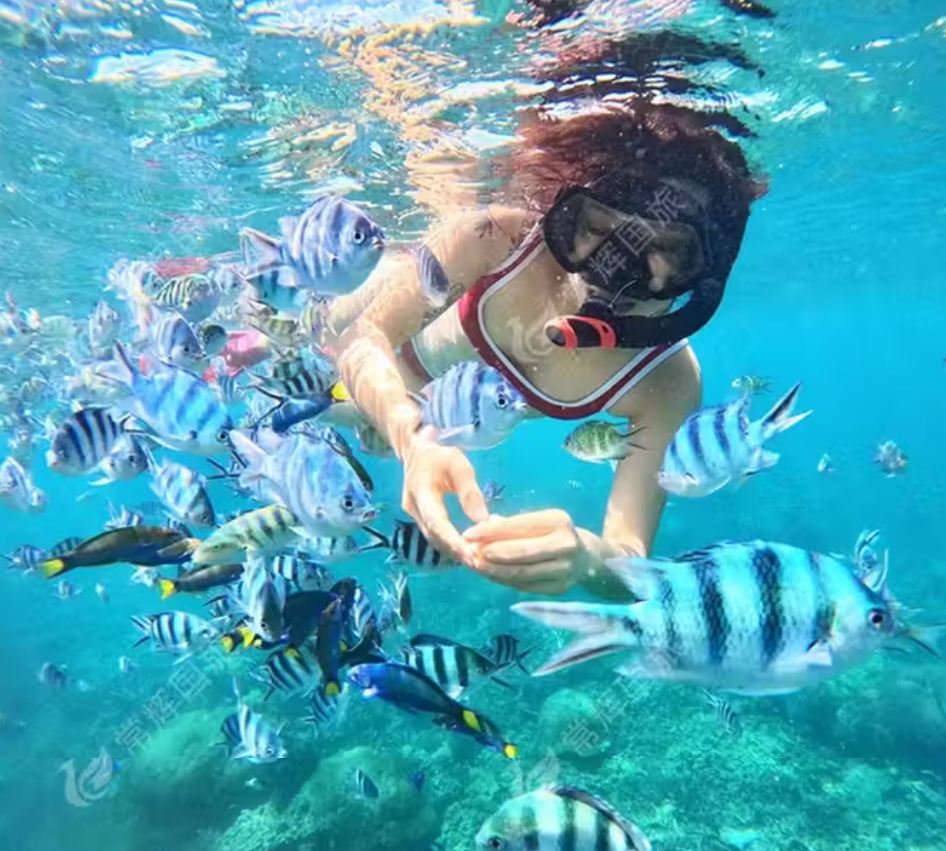 Phu Quoc Island Three-Island Hopping Day Tour | Speedboating + Coral Reef Snorkeling + Flycam Photography