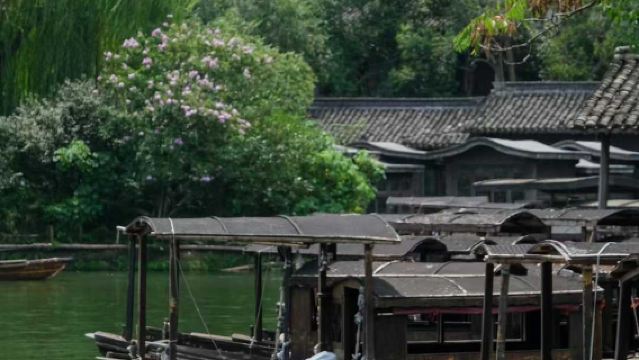 Wuzhen + Catholic Church + Zicheng Ruins Park 1-day tour in Jiaxing, Zhejiang with bilingual Chinese-English service