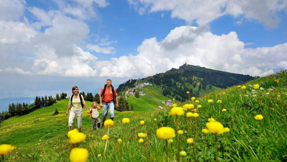 perjalanan satu hari di Gunung Rigi di Zurich (berangkat dari Zurich)