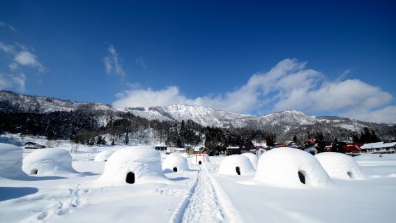 冬季限定長野一日遊｜善光寺＋飯山雪屋＋地獄谷野猿公苑泡湯雪猴