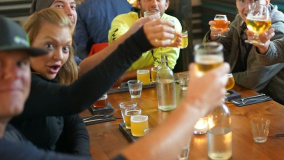 Reykjavik: Beer & Booze Tour