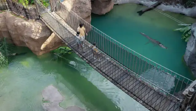 新加坡:熱帶雨林野生亞洲門票