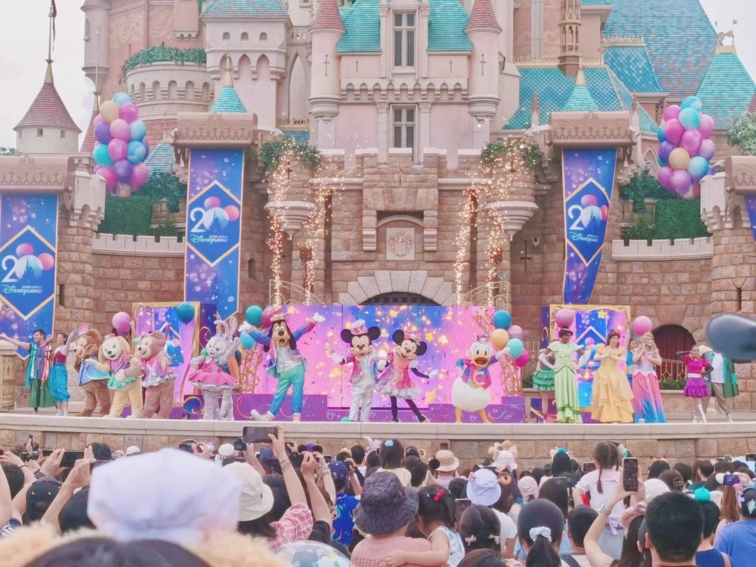 Aeropuerto de Hong Kong + Disneyland Hong Kong + Tsim Sha Tsui [Itinerario personalizable/Recogida en domicilio]