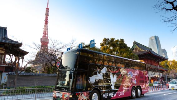 [Heisei Enterprise] VIP Sightseeing Tour by Open-Top Bus: Choose Between City or Bay Route