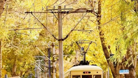 偽滿皇宮博物院-長影舊址博物館-南湖公園-桂林路美食街日遊