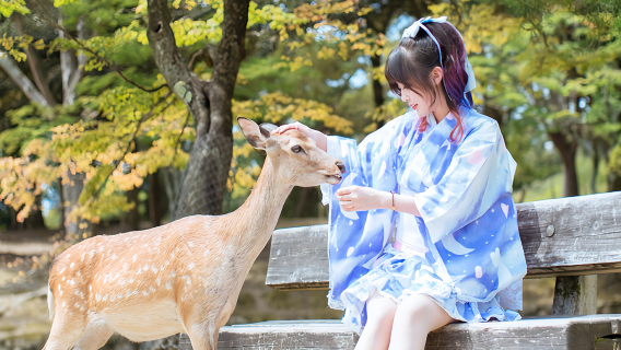 ทัวร์ 1 วันแบบเหมารถที่โอซากะ (เลือกเมืองได้หลายเมือง เช่น เกียวโต/นาระ/โกเบ)|บริการรับส่งจากโรงแรม