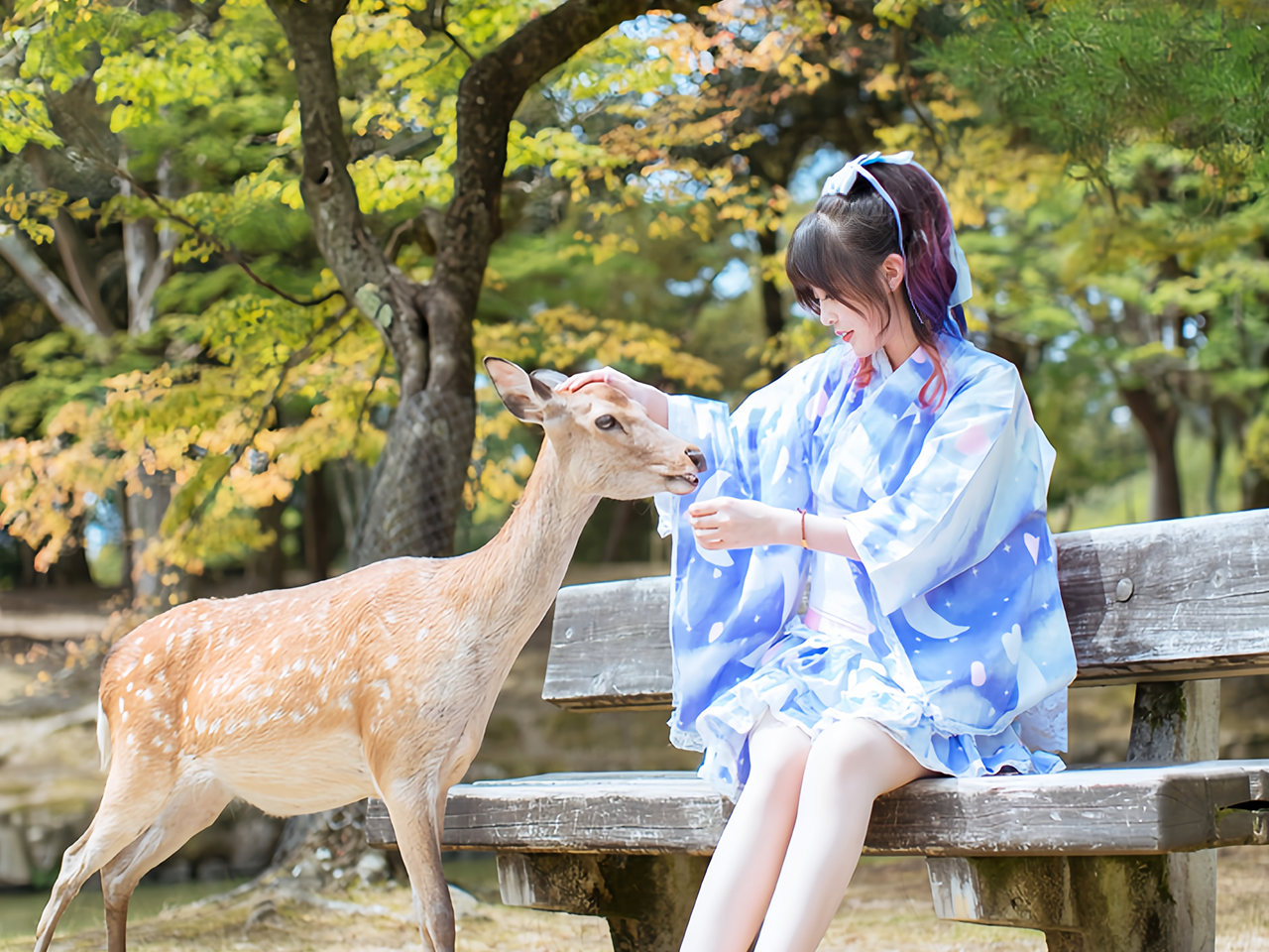 Custom 1-Day Private Charter Tour in Osaka (Optional Destinations: Kyoto/Nara/Kobe)|Hotel transfer