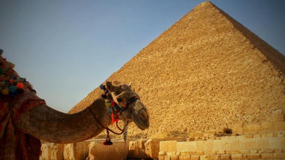  Simply Pyramids from Port Said Hotels