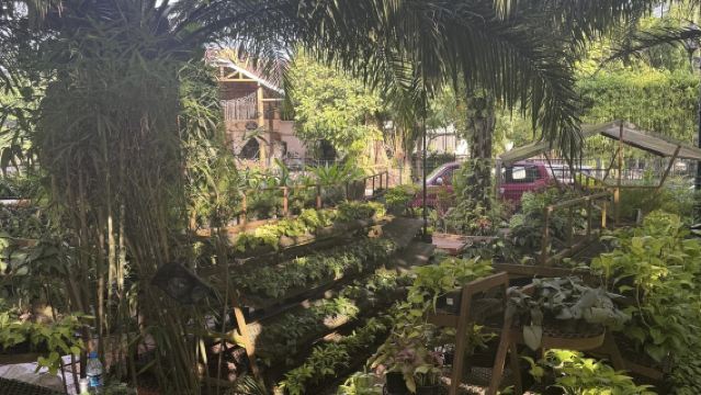 Lawatan Sehari Sewaan Peribadi ke Hutan Hujan Rahsia Brunei & Taman Negara Temburong di Asia Tenggara