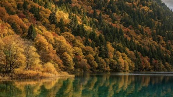 [Excursión de un día con servicio de coche privado con conductor en Jiuzhaigou] Estación de Songpan, Huanglong y Jiuzhaigou|Aeropuerto de Jiuzhai Huanglong - Recogida en el lugar