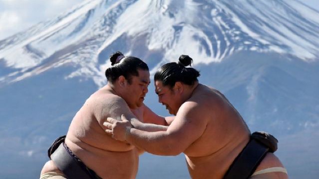 Excursion d'une journée au mont Fuji avec spectacle de sumo « La voie du Yokozuna » – Expérience immersive de la culture sumo [Navette depuis Shinjuku, Tokyo] – Découverte du lac Yamanaka, du lac Kawaguchi et des huit sources d'Oshino