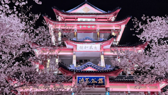 Round-trip from Suzhou: Nanchang Street + Huishan Ancient Town + Tai Hu Yuantouzhu Scenic Spot in Wuxi | Multilingual guides including Chinese/English | Customized private charter
