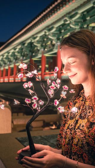 慶州歷史古都｜世界遺產（佛國寺＆月精橋）日夜精華遊｜釜山出發