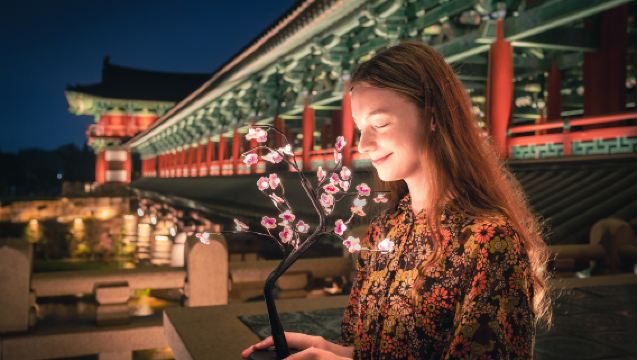 Departing from Busan | Gyeongju - A Millennia-Old Historical and Cultural Capital (Bulguksa Temple) UNESCO
