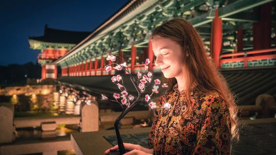 釜山発｜慶州歴史古都めぐり｜世界遺産（仏国寺＆月精橋）昼夜ハイライトツアー