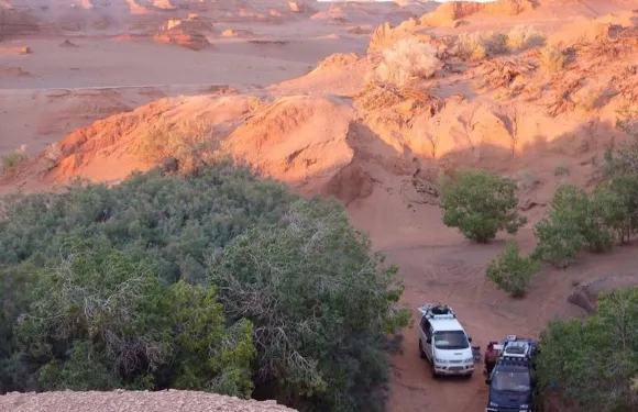 連司機交通服務 (SUV、小型客車、小型巴士)