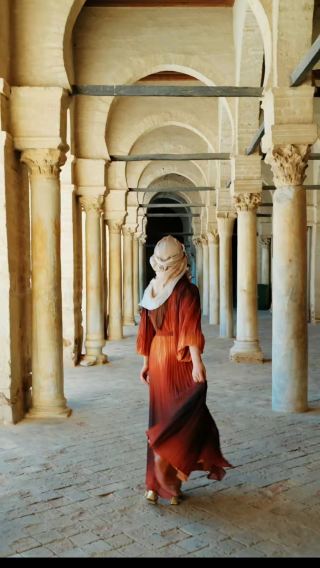 Tunis Kairouan: Private charter 1-day tour/customizable itinerary